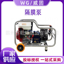 FSTGP-60/1.0ҺĤøߓPˮɭ60/R