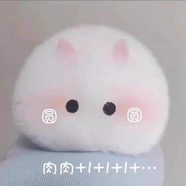 微信图片_20241108132449