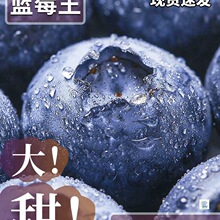 云南蓝莓鲜果新鲜高端水果当季怡颗高山L25花香孕妇整箱包邮