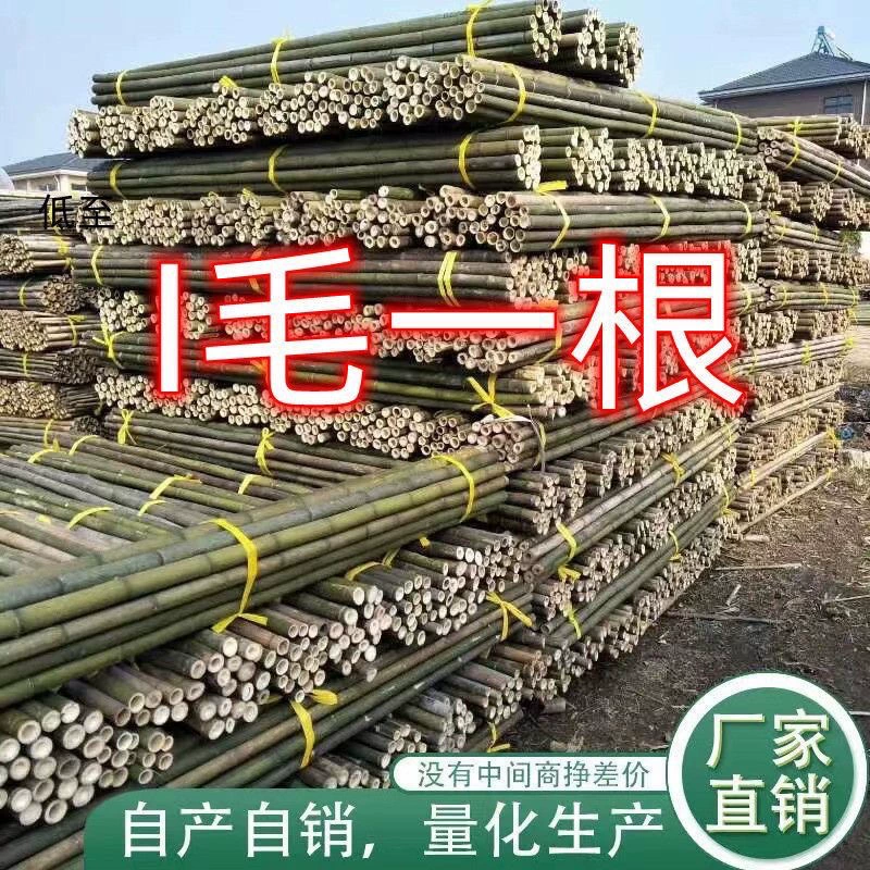 Бесплатная доставка, бамбуковые столбы, оптовая продажа, пасторальная уличная рамка, огурец, бобы, овощная стойка, бамбуковый столб, забор, забор для двора, бытовой столб