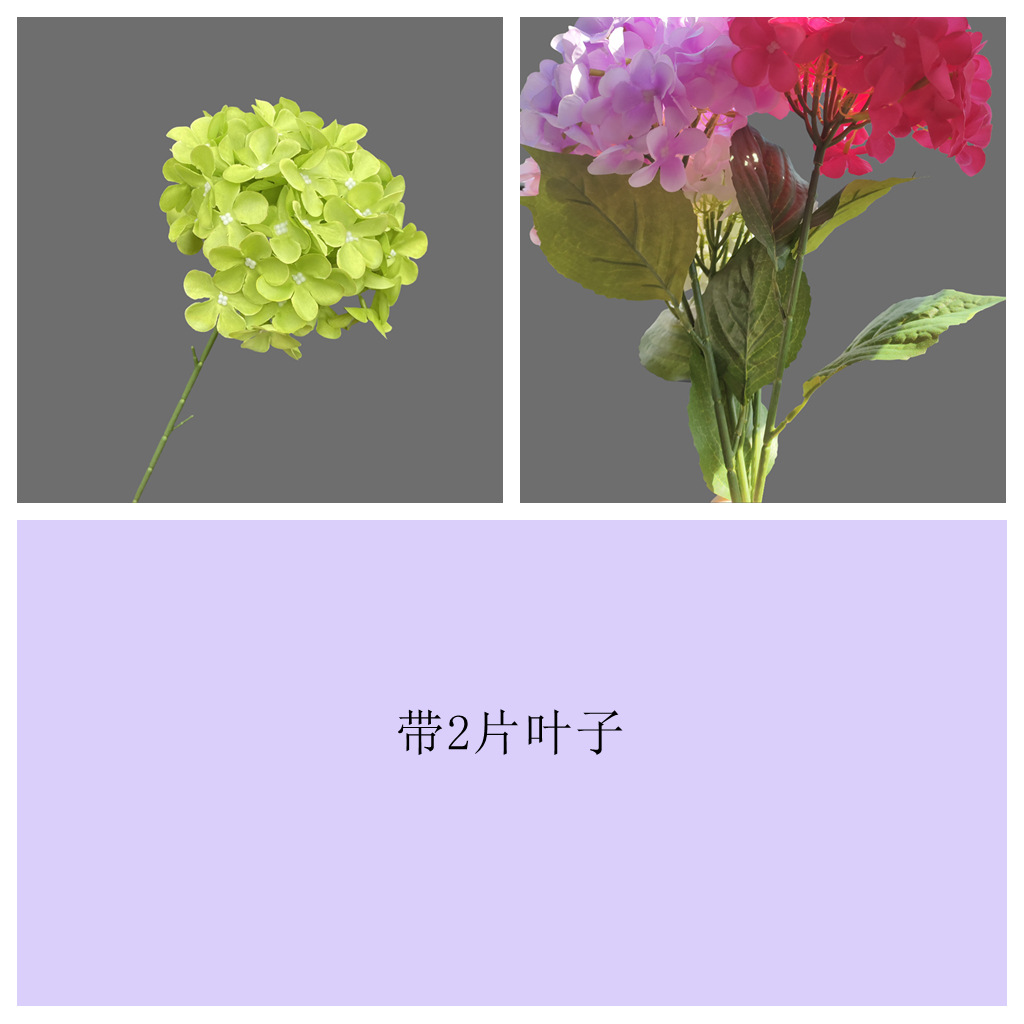 72개입 잎사귀 그린