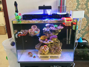 ˽˺ڲˮи往~ױ^VמVˮ