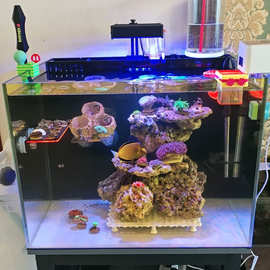 私人黑玻璃水刀切割金晶五线超白鱼缸背过滤底滤海水乌龟缸