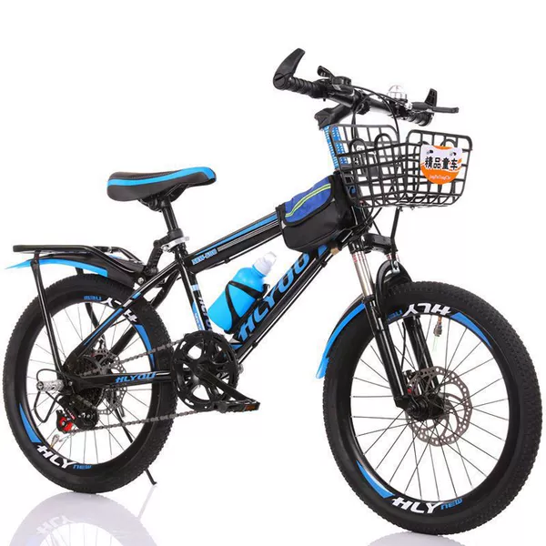 Shock-absorbing bike shifter (brake handle) disc brake, basket