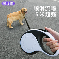 Dog Leash, Retractable Leash for Small Dogs, Terrier and Pomeranian Outdoor Pet Leash