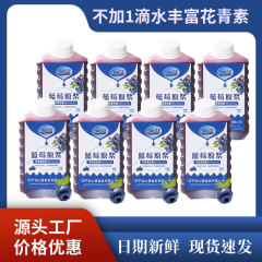 95% 高濃度ブルーベリー原パルプジュース糊汁生搾り汁生果飲料正東北特産品500g1本