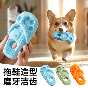 Dog Bite-resistant Molar Slippers Modeling Small and Medium-sized Dog Golden Retriever Training Interactive Pet Molar Toy Supplies