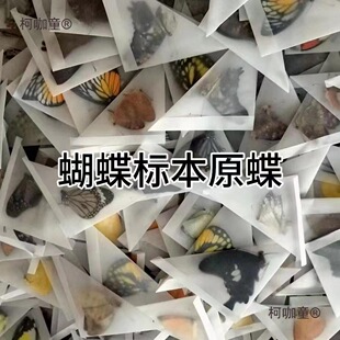 ������˱�����ԭ��δչ���ֹ�diy�������x�˱��P��ԭ�x͐��̫��