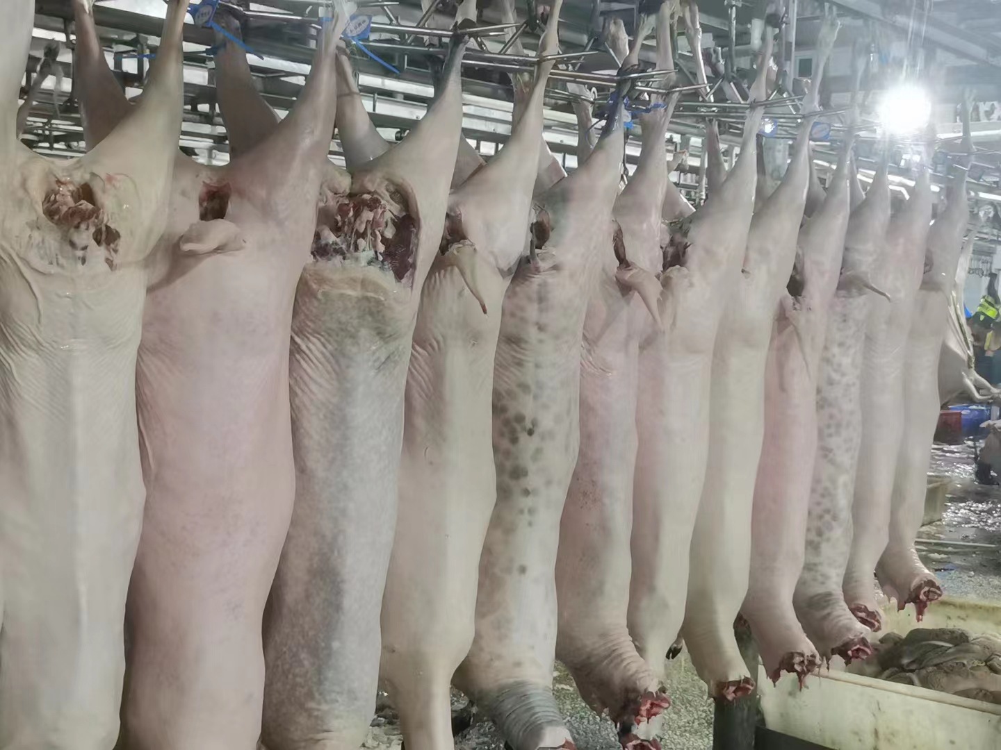 微信图片_20221018210623