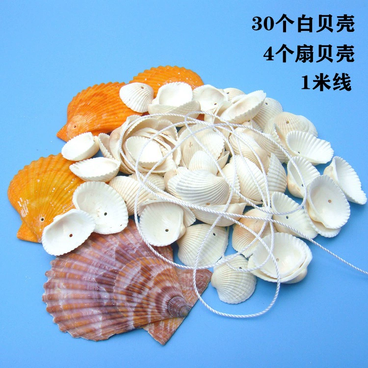 YO3H wholesale natural shell white shell coconut shell shell fish tank aquarium landscaping wool babel window sticker wall decoration