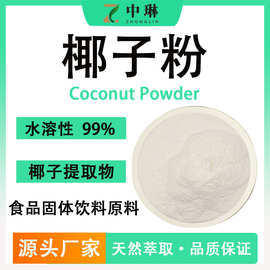 椰子粉 食品级水溶固体饮料原料 椰子果肉提取纯粉现货供应1kg装