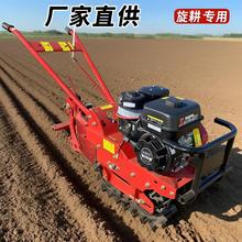 �๦������@ˇ�����C 늄����̈́�����춳��������r�ò���΢���C