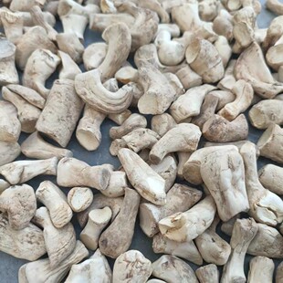 �p���㹽���㹽���㹽�_�ɶ����W�ϼӹ��u�Ϻ��Ϯa�^�a��ֱ�N���S