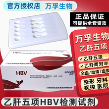 �ҸΙz�yԇ���Ɍ������͸������HBV�Ҹδ�С��ꖱ���e���w��ԭ