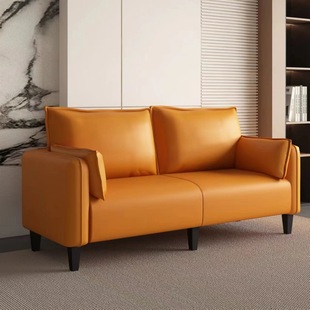 Cat Claw Leather Sofa Living Room Small Apartment Modern Minimalist Apartment Light Luxury Bedroom Rental Room Double Three Person Clothing Store