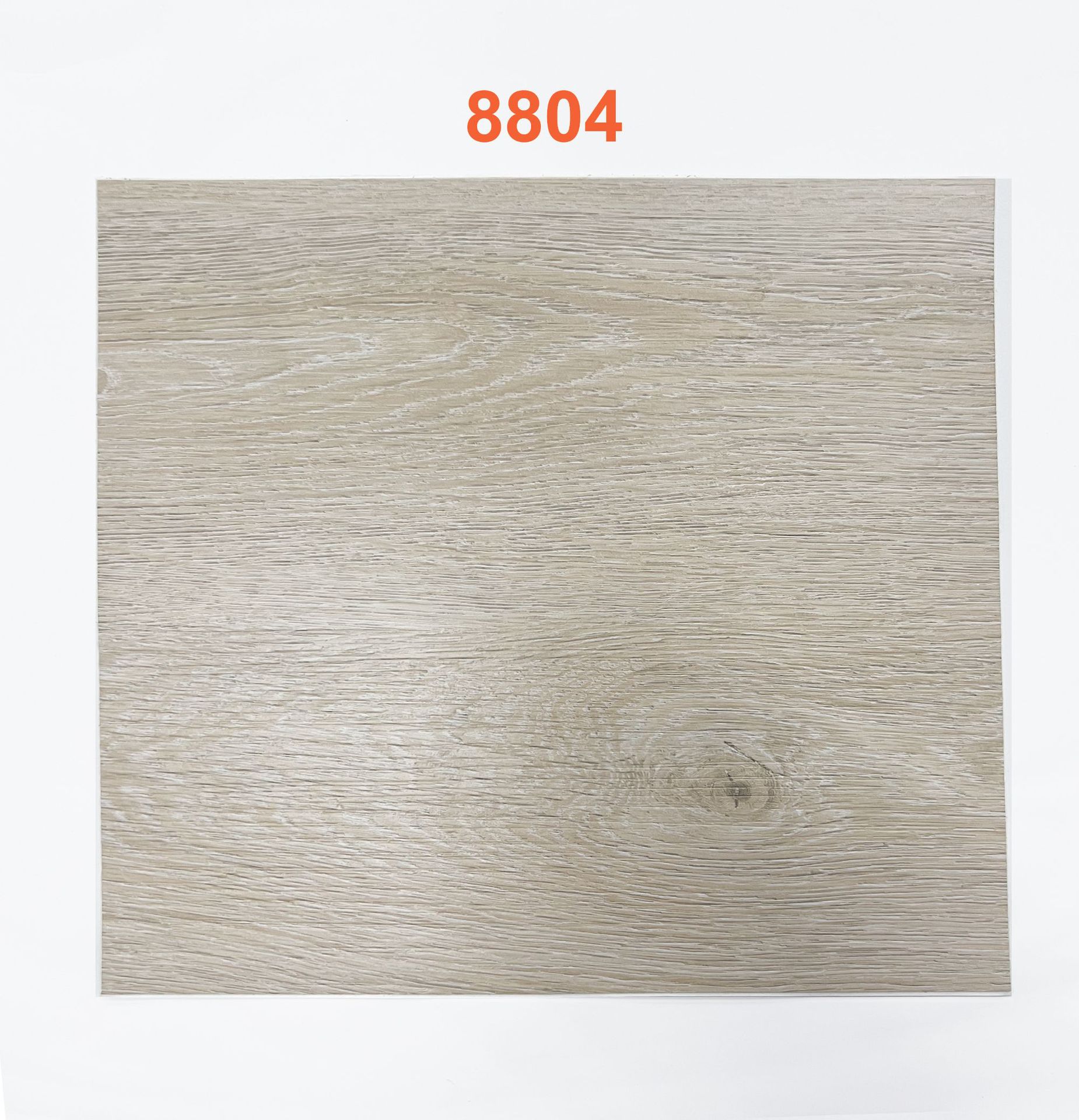 8804