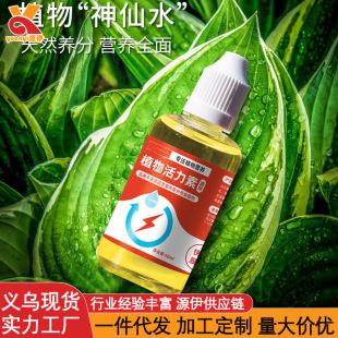 Phytovitin Promotes Budding, Promotes Flower-Like Roots, Succulents, Balcony Green Plants, Potted Plants, General Fairy Water Rooting and Seedling-Strengthening Fertilizer