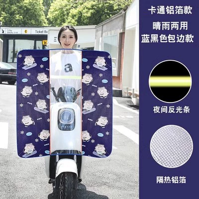 All Seasons, Motorcycle front windshield - blue-chubby-velcro