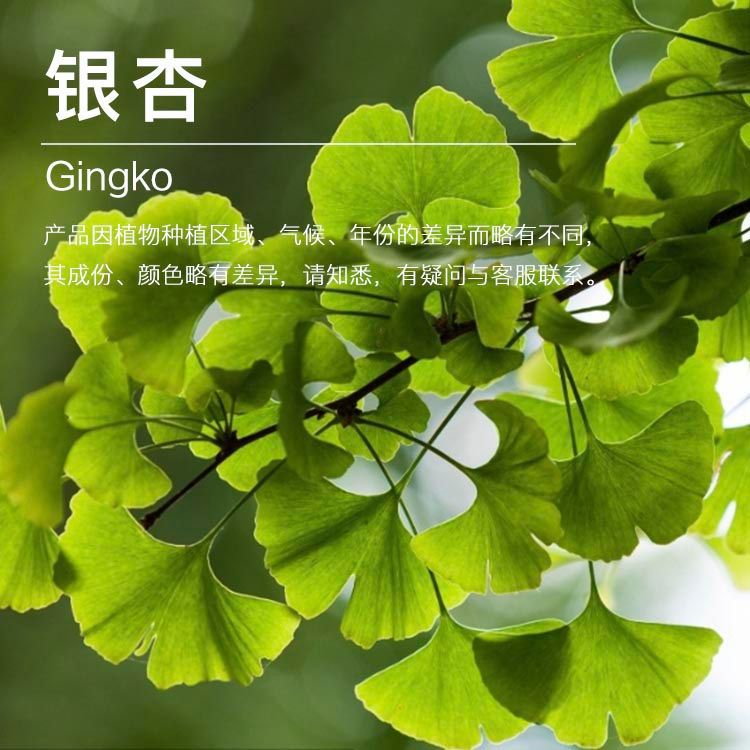 ��Ӧ����Ҷ��¶ ����Ҷ���� ��¶���� ��ӭ��ѯ��ⱸ��������