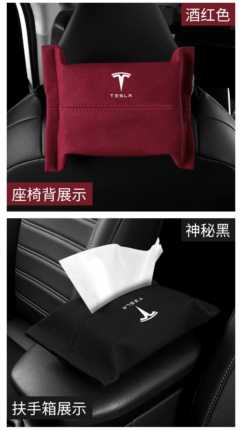 特斯拉 (15).jpg