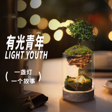 丘辰苔藓微景观生态瓶办公桌面绿植室内DIY植物造景盆栽摆件礼物