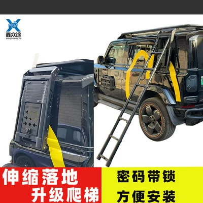 side ladder backpack modification: Roof rack - floor-mounted-ladder-for-use-with-roof-platforms