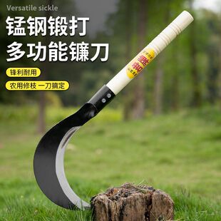 ľ�����L砵��r���i䓑����L��砵���ݵ��r�������ո��ݴ�砵�