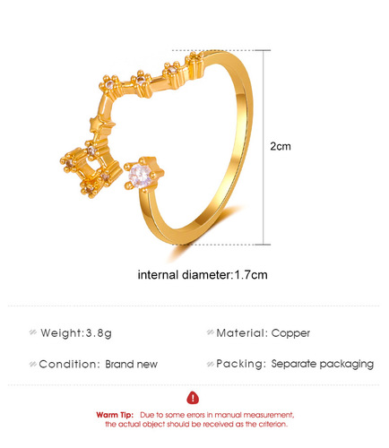 Japanese and Korean Minimalist Twelve Constellation Ring, Instagram Style Creative Fashion Copper Inlaid Zirconia Open Ring, Birthday Gift
