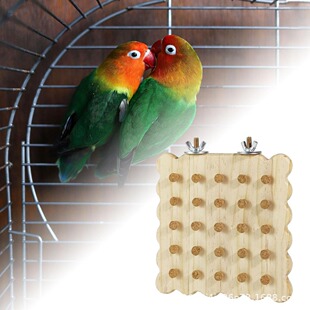 Parrot Chewing Toy�W�^�׽�����B����ȸ�BҒʳ��߶�N�Π�