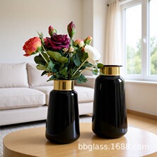 BBGLASS ��ɫ������ƿ װ��ͭ�� �廨װ�ΰڼ� ������� �Ҿ���װ