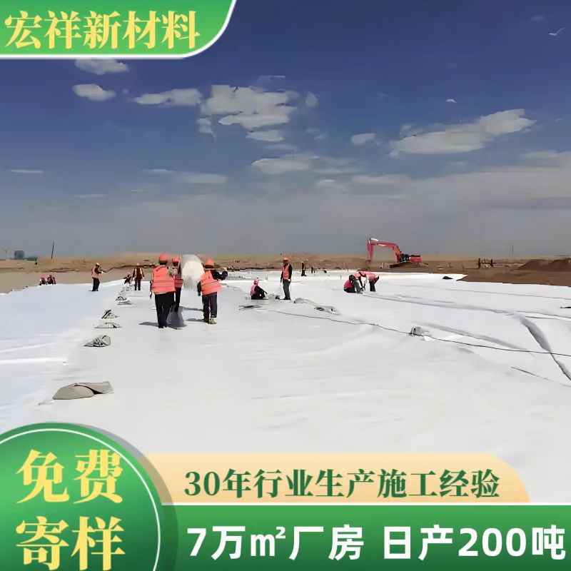 聚酯长丝土工布针刺无纺土工布200g300g过滤透水路面养护土工布