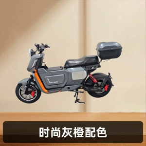 export model  Lithium Battery Electric bike motorcycle ebike