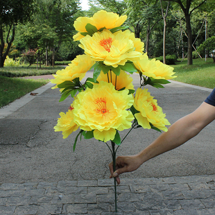 ��������ĵ������75CM9�^�ٻ��ω�Ĺǰ�b����������@
