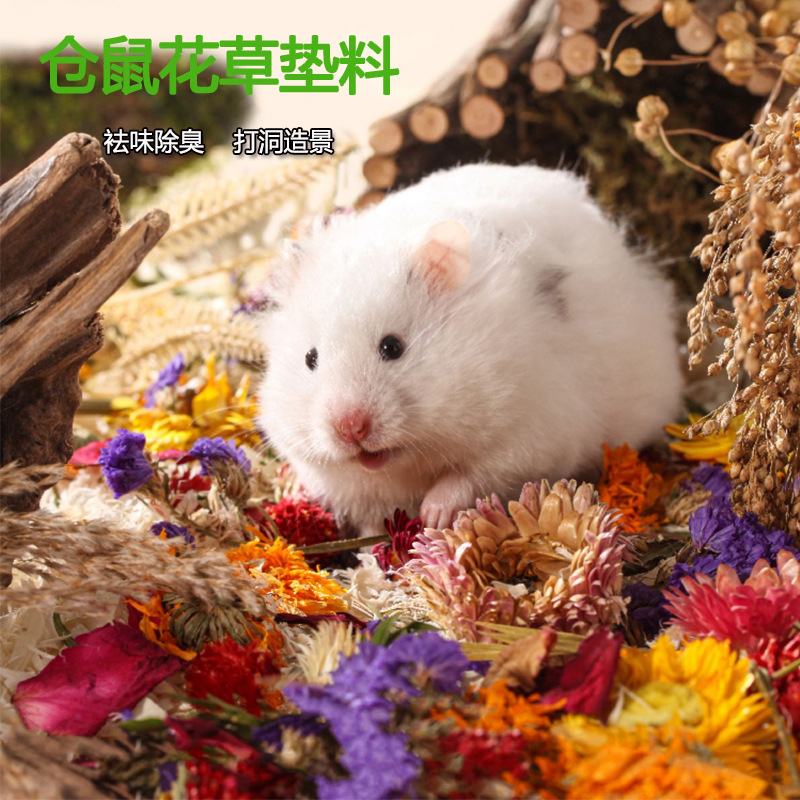 乾花草墊料倉鼠籠子裝飾造景用品金絲熊挖洞兔子刺蝟寵物除臭木屑
