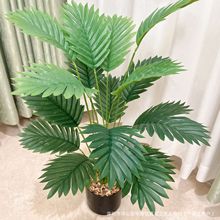 �羳���滨�����[��ɢβ������Gֲ�bٻ�ֲ��٘��쾰����