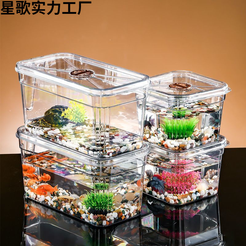 Glass plastic transparent square aquarium