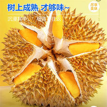 顺丰泰国A级金枕头榴莲带壳一整个液氮榴莲进口水果批发一件包邮