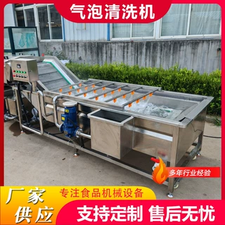 定制蔬菜去泥气泡清洗机香菜设备清洗风干流水线苦菊气泡清洗机