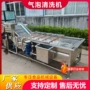 风干定制气泡苦菊流水线