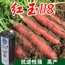 �tɫ���}���N����ɫˮ���}���ļ��ѷN�����߲˷N���ݼt���_���N