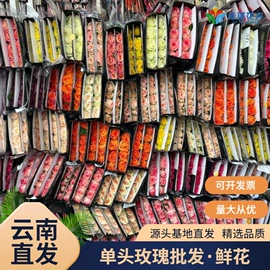 鲜切花;干花;园艺工具