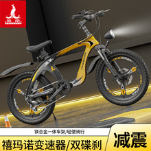 凤凰镁合金儿童自行车中大童男女孩8-10-14岁18/20寸小学生山地车