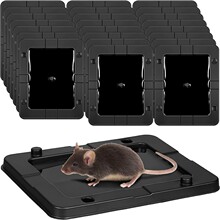 ���ϲ��������Qճ��及���zճ�������N����������mouse rat trap