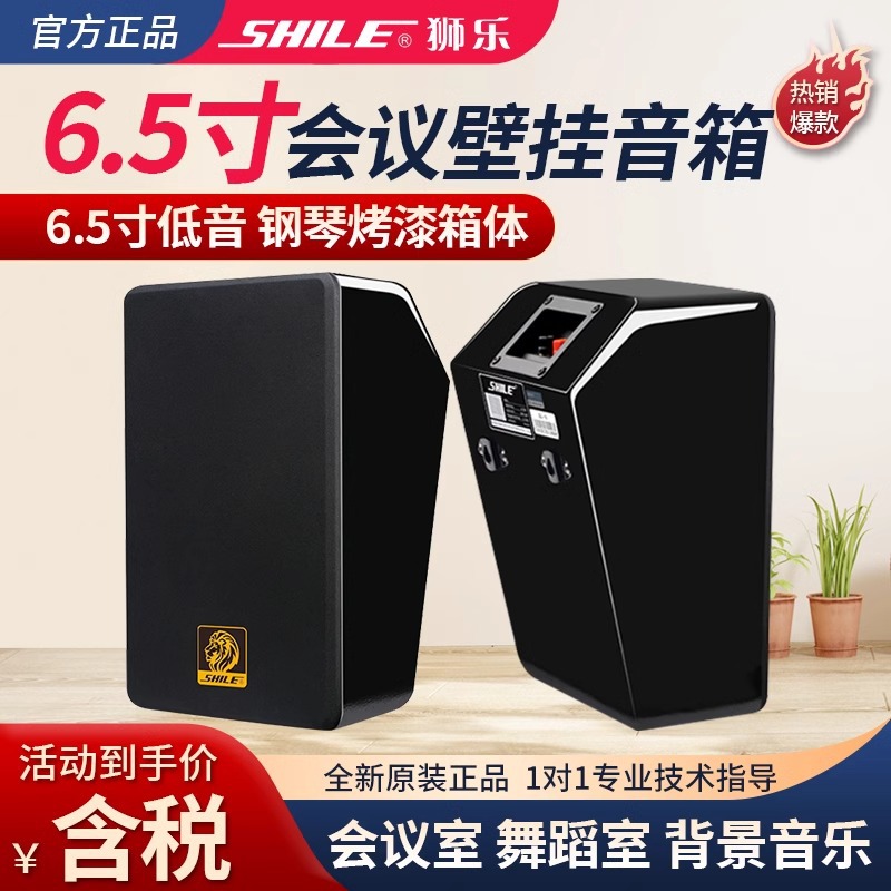 狮乐BG-6 专业会议室培训背景音乐高端壁挂音箱高音质扩声立体声