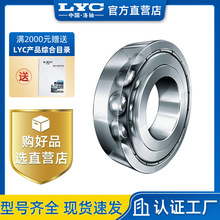 ����LYC����6022E6022E/P6���������Ǽ��ٻ�ר������ĥ��