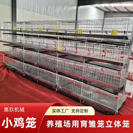 定制小鸡育雏笼 镀锌鸡笼 育雏笼 H型立体笼养殖场养育雏鸡笼
