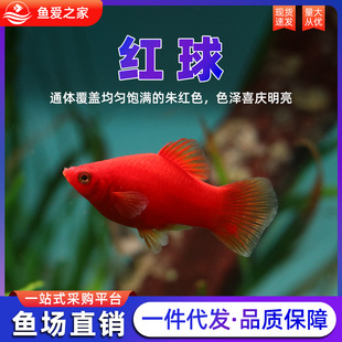 ���N�tƤ��t̫������~С�͟Ꭷ�^�p�~�~��̥���~�~�׻��wС�~