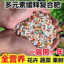 家用氮磷钾复合肥绿植花卉多肉缓释肥颗粒专用控释花肥料盆栽通用
