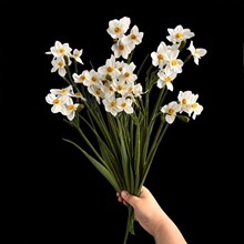 ����ˮ�ɻ� С����Ұ���Ҿ��b�ˇ�ٻ�����ˮ�ɷ��滨�u����