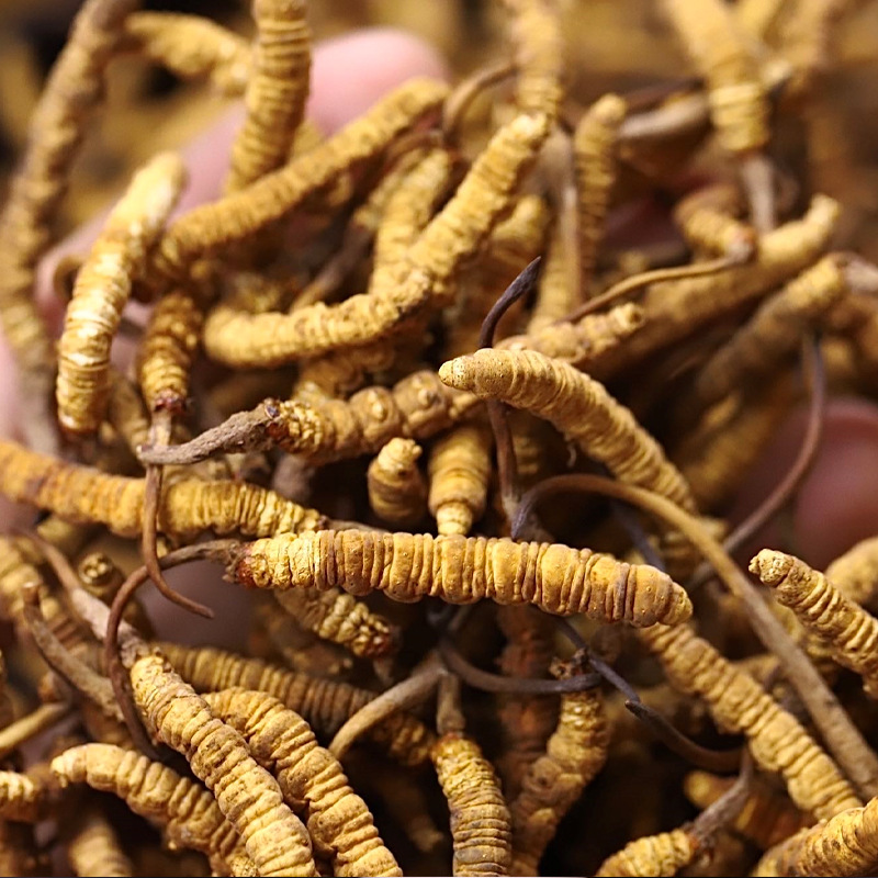 241a3bd409b87dfc5baa5b3265bc15